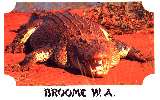 Greetings from Broome (click for enlargement)