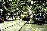 Melbourne is famous for its trams
