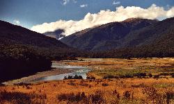 Just behind the Haast Pass. (click for enlargement)
