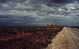 more road signs, Nullarbor Plain (click for enlargement)