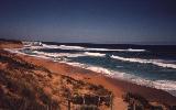beach near Phillip Island (click for enlargement)