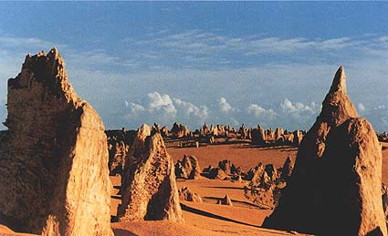 the Pinnacles, Nambung NP