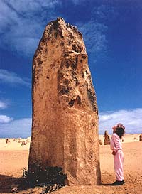 Pinnacles, Nambung NP